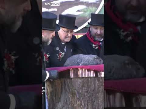 Punxsutawney Phil makes Groundhog Day prediction
