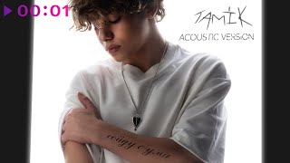 Tamik — сойду с ума | Acoustic Version | Official Audio | 2025