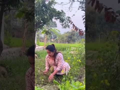 Farmer 👩🌾 #love #farming #video