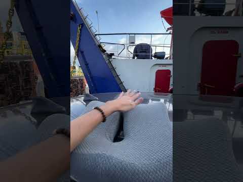 Bantal duduk anti pegal #bantalduduk #bantal #bantaldudukviral