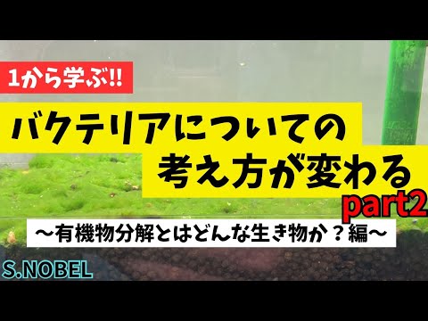 バクテリアについての考え方が変わる2