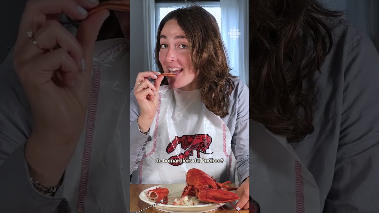 Guide pour mieux comprendre la pêche au homard