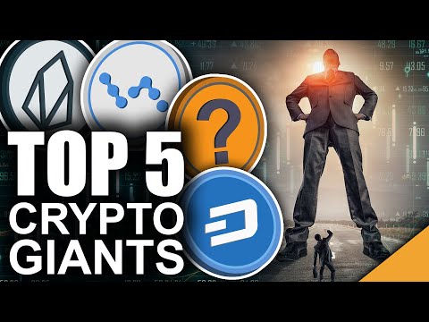 Top 5 Crypto Sleeping GIANTS (BEST Opportunity for Gains)