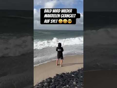 #sylt #edit #angel #music #youtube #youtubeshorts #fishing #fish #trending #best #edit #best