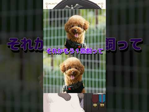 thumbnail_p6n9-Zq5Ybo