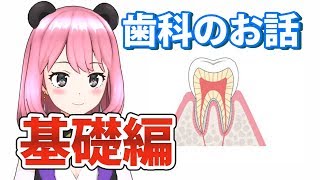 歯科のお話 基礎編【GumChannel】