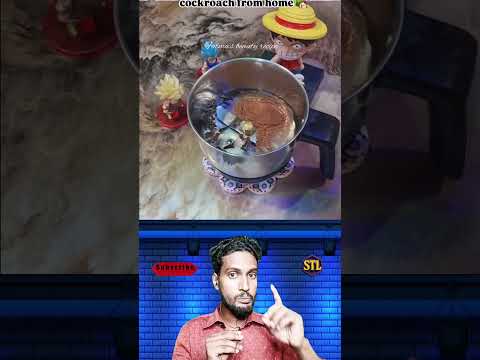 পিঁপড়ে ও আরশোলা থেকে সারা জীবনের জন্য মুক্তি 😱 #youtubeshorts #trendingnow #viralvideo #samtheloser