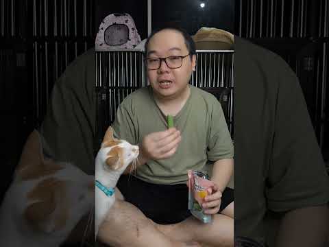 Review Snack Rumput Kucing stick Pawsitive Vibes