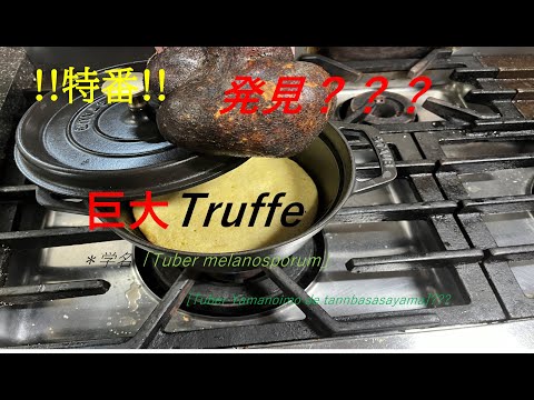 【特番】「巨大Truffe発見？？」の作り方（by フレンチシェフ）