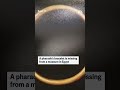 Pharaoh’s bracelet missing from museum in Egypt  - 00:19 min - News - Video