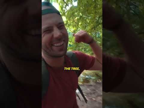 The Peeing Tree landmark in Frankfurt