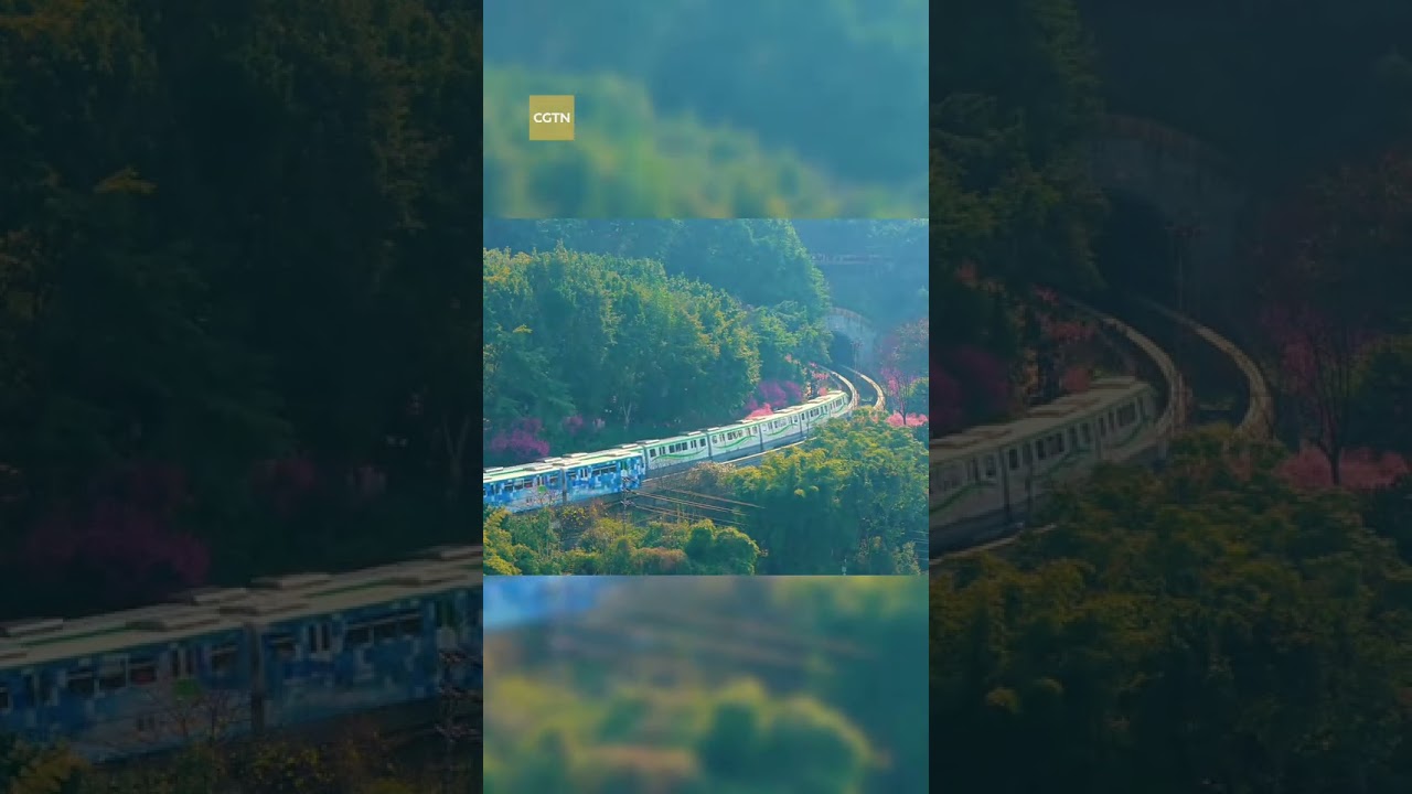 Le "train du printemps" fait son retour romantique à Chongqing