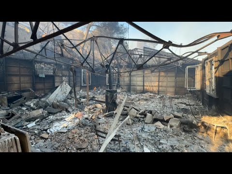 Wildfire leaves trail of destruction on outskirts of Marseille | AFP