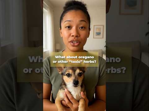 You Asked — We Answered! 🐾💬 #dogcare #faq #puppy