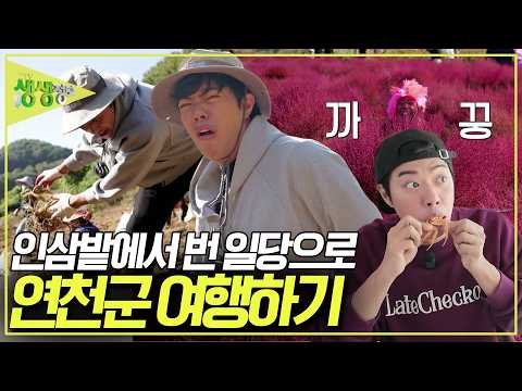 인삼밭에서 제대로 구른 개그맨 서태훈! 일당으로 알차게 연천 여행을 즐겨라! [2TV 생생정보] KBS 261016 방송