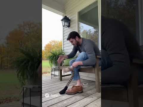 He Felt Something in His Sock! 😱🐍 | ¡Sintió algo dentro de su calcetín!