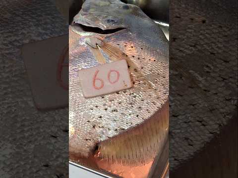 Fish/Benjie Gonzales tv