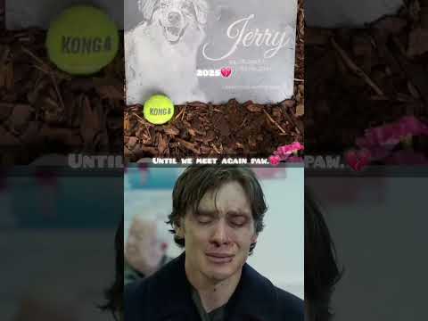 Until we meet again paw #dog #shortvideo #shortsfeed #shorts