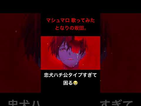 マシュマロ 歌ってみた となりの坂田。 #あほの坂田 #歌ってみた #マシュマロ #病んハピ #歌い手  #歌ったみた #忠犬ハチ公