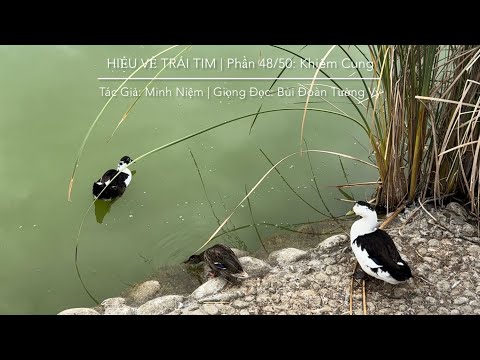 HIỂU VỀ TRÁI TIM | Tác Giả: Minh Niệm | Phần 48/50: Khiêm Cung