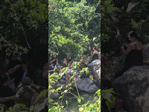 Jungelers in the jungle #Agith #allgoodinthehood #ongfamily