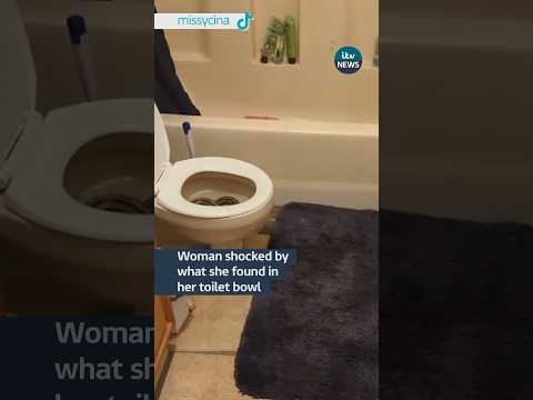 A woman got the shock of her life when she looked in her toilet bowl #itvnews #animals  #snake