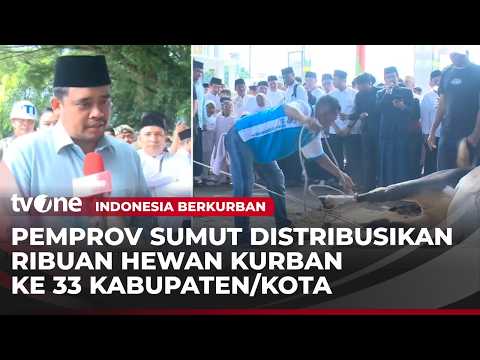 Gubernur Sumut Bobby Nasution Saksikan Proses Penyembelihan Hewan Kurban | Indonesia Berkurban