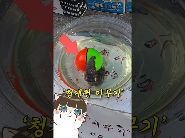 진짜 있을까? (찾으러 다녀옴)