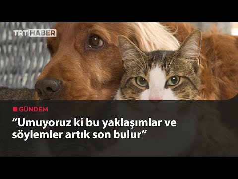 Evcil hayvanlara çip zorunluluğu