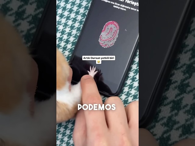 ￼￼ se puede desbloquear el teléfono con la huella dactilar de un hámster 🐹 #shorts ￼