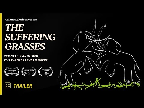 The Suffering Grasses: When Elephants Fight, It Is the Grass That Suffers'