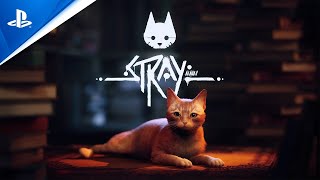 Stray :  bande-annonce