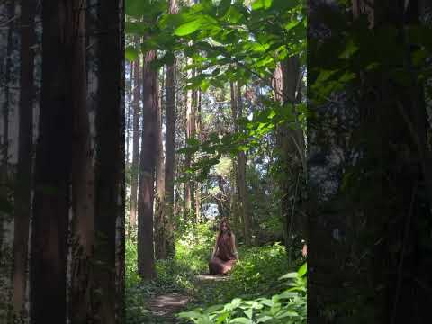 2025.10.15 Release  倉木麻衣「リラック素〜What a wonderful world〜」Teaser