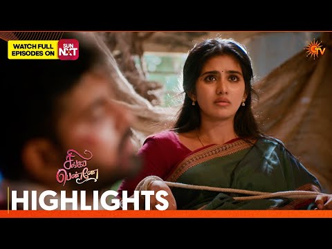 Singappenne - Highlights | 30 Aug 2026 | Tamil Serial | Sun TV