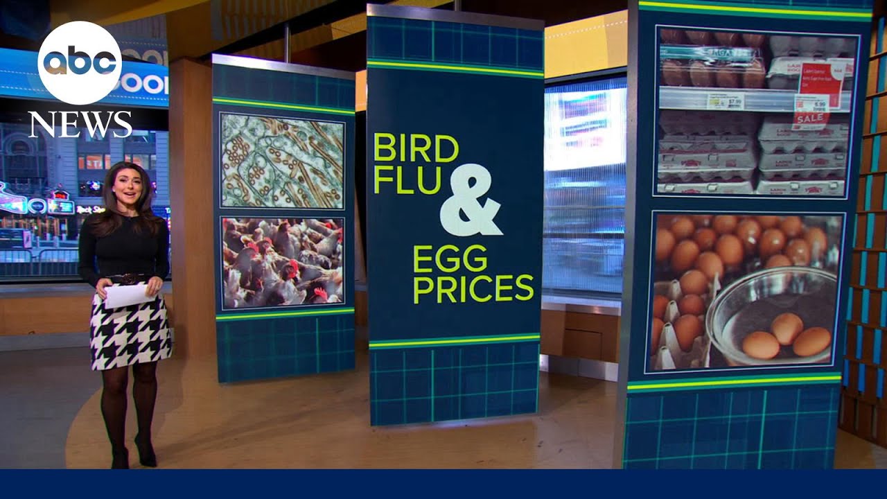 Egg prices soar as bird flu continues to spread