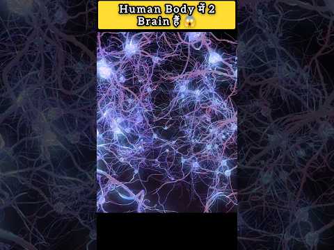 🧠 "Insaan ke Pet Mein Dimaag Hota Hai? 😱 | Second Brain Ka Sach| #shorts #facts #unbelievablefacts