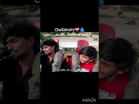 Chellakutty❤️‍🩹🫂 #<strong>nrfm</strong> #love #ownedit #subscribe #friends