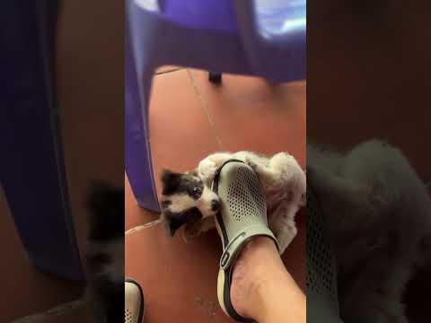 Nghịch #rewirethinkinglab