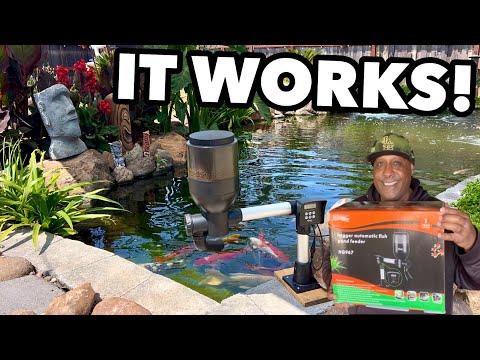 This Koi Pond Auto Feeder is the BEST! This Automatic Koi Pond Feeder by Hygger is a must have with 6 different feeding times, 9 different 