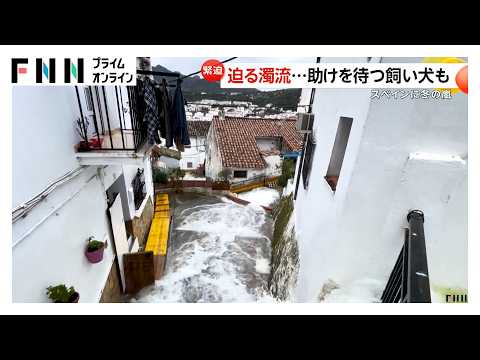 【緊迫】冬の嵐で川氾濫…濁流のなか車上で救け待つ男性ら 住宅から飼い犬の救助も 世界遺産の街では大雪の被害も スペイン（2026年02月11日）