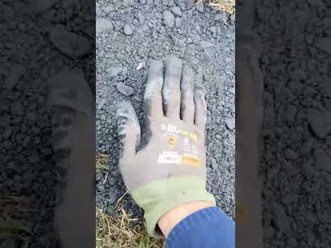 How to fill up a hole in your lawn