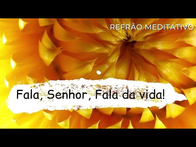 Preview do vídeo