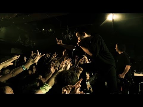 彼女 IN THE DISPLAY「KVE」LIVE MUSIC VIDEO