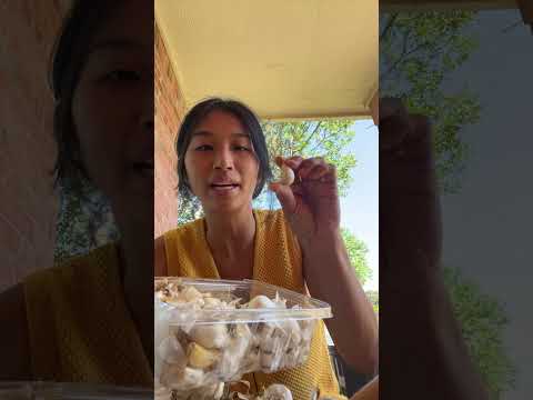 Live highlight “growing garlic for beginners”- live M, W, F at 11 am central