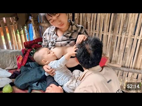 TIMELAPSE: Harvesting Agricultural Products for Sale – Poor Girl Begins a New Life