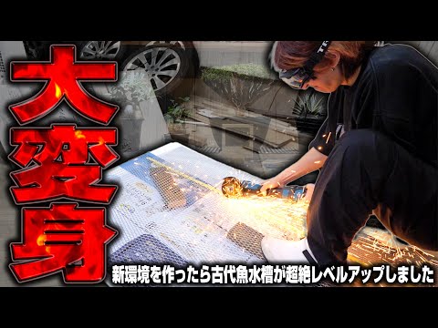 【新水槽爆誕】古代魚水槽に新装備を製作したら超絶進化してしまいました