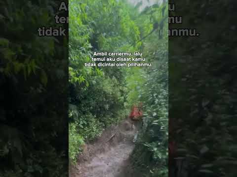 #hiking #campping #mountainswiev #camping #camp #mountains #outdoors #forest #pendaki