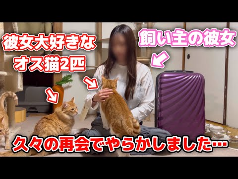 オス猫と彼女を久しぶりに会わせてみたら事件が起きました…