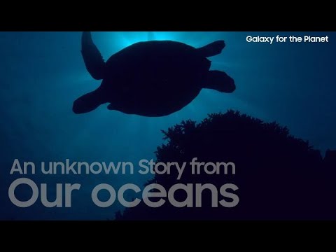 Galaxy’s Purposeful Innovation with Discarded Fishing Nets | Samsung