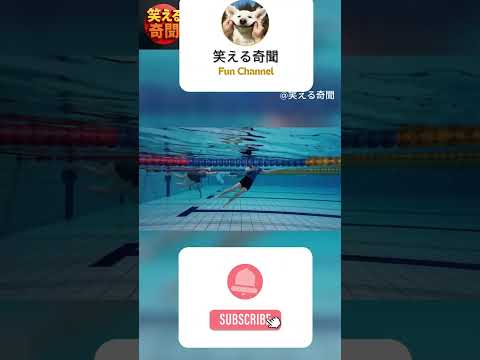 まるで水族館よりも生き生きしている!